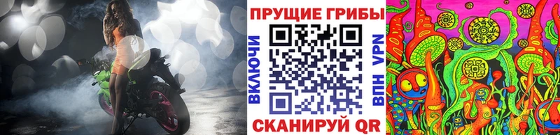 Псилоцибиновые грибы Psilocybe Волгореченск
